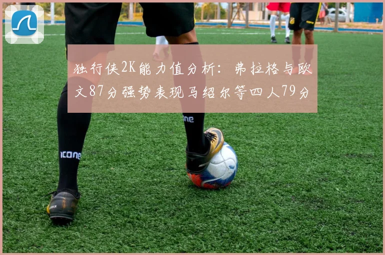 独行侠2K能力值分析：弗拉格与欧文87分强势表现马绍尔等四人79分展现潜力